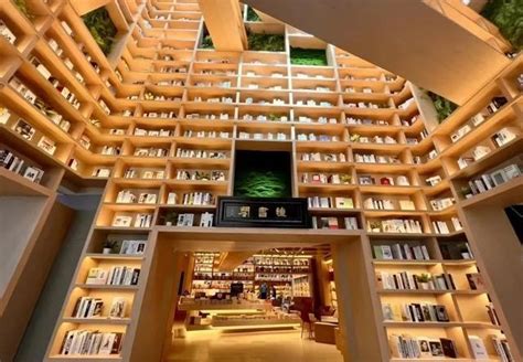 出版社的书店-上海中版书房 | 昱景设计-设计案例-建E室内设计网