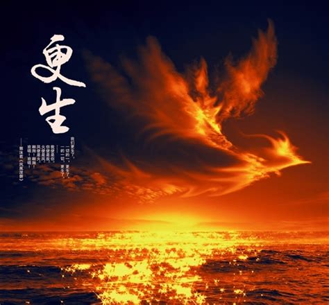 凤凰传说 精华版 (1CD) WAV无损音乐|CD碟_民歌民谣-8775动听网
