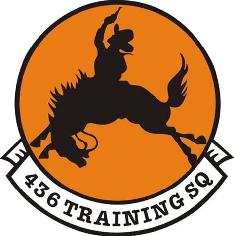 436th Training Squadron celebrates centennial > Air Combat Command ...