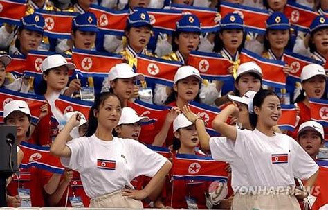 平昌冬奥会朝韩代表团举“朝鲜半岛旗”共同入场_时讯_看看新闻