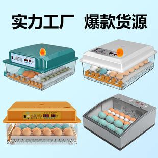 16枚孵化机全自动家用型小鸡孵化设备小型孵化器鸡蛋孵蛋器孵化箱-阿里巴巴