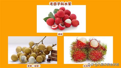 各种各样的水果图片免费下载_红动中国