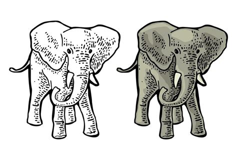 Premium Vector | Elephant engraving vintage vector color illustration ...