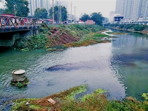 城镇河流湖泊水质净化与农村纳污塘坑黑臭水体治理对策-资料下载-甘丹科技河北有限公司