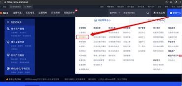怎么连接台湾域名服务器(怎么在大陆访问台湾的网站)-茶猫云