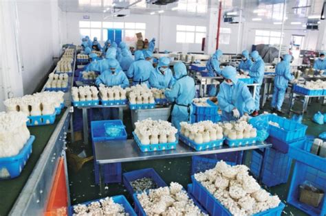 重庆办一个农产品深加工的企业有哪些政策支持和税收优惠-