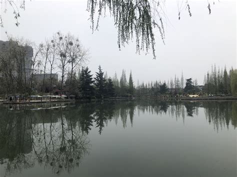 有机融入中医药文化 彭州新添一座湿地公园 ——汇通湖生态湿地公园掠影