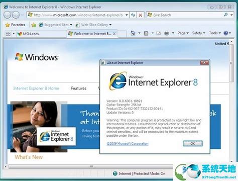 Internet Explorer 8（IE8浏览器）如何设置新页面默认打开方式--系统之家