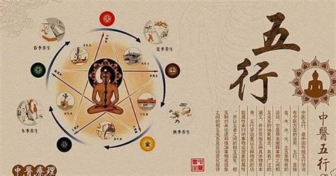 六爻入门基础知识：六爻卦的组成及规则 – 易师汇传统文化