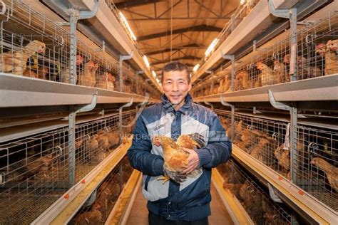 浙江湖州：智能养鸡奔致富-人民图片网