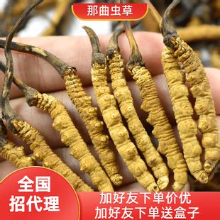 西藏那曲冬虫夏草正品冻干 传统滋补品营养品 虫草干货源头批发价-阿里巴巴