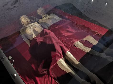 希腊发现3500年前古墓 内藏两千多个陪葬品 - 中国网山东科技 - 中国网 • 山东