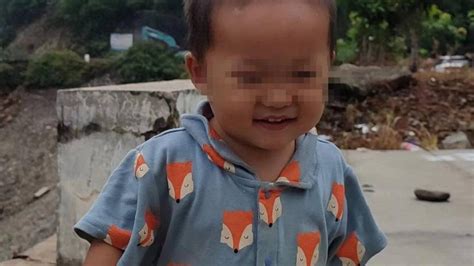 2岁半男童失联两天，数百人携带警犬无人机搜寻，在山上只找到了鞋_凤凰网