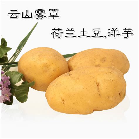 新鲜土豆种马铃薯1斤农场自家种植荷兰土豆洋芋批发配送代发-阿里巴巴