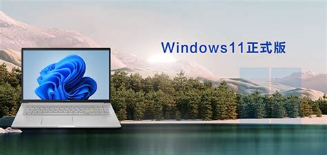 微软下载Win11专业版_Win11专业版免激活下载(22H2) - 系统之家