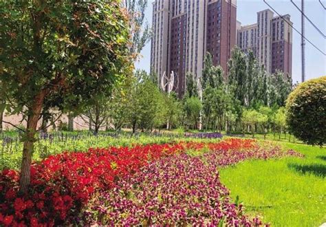 呼和浩特：开展“增彩延绿”助力城市”颜值”提升 重庆风景园林网 重庆市风景园林学会