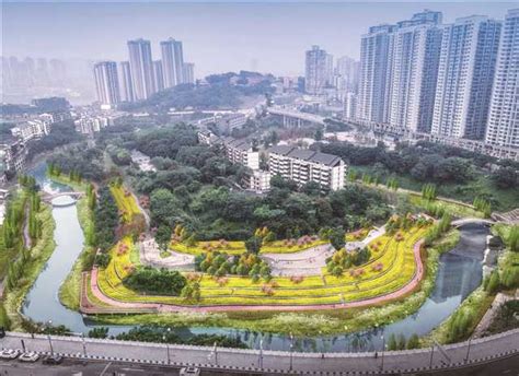 “四区”建设蓝图绘就 2022看沙坪坝如何图新图变图强_重庆市人民政府网