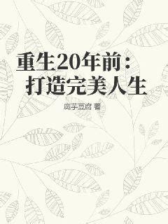 重生20年前：打造完美人生(书友aFImTkqjy8)最新章节全本在线阅读-纵横中文网官方正版