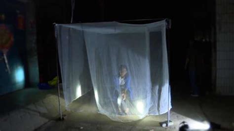 职业捕蚊人拿自己当诱饵监测蚊子，夏天钻牛圈羊圈_凤凰网视频_凤凰网