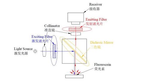 光学滤光片的基本结构主要是什么-扬州市华盛光学仪器厂