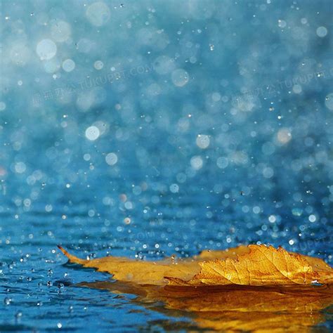 下雨时候的水面图片素材_免费下载_jpg图片格式_高清图片233737_摄图网