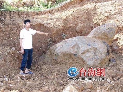 中国收藏网---新闻中心--渡头岩寺庙挖出石龟形状巨石（图）