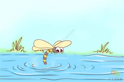 蜻蜓点水的意思,儿童画,简笔画_大山谷图库