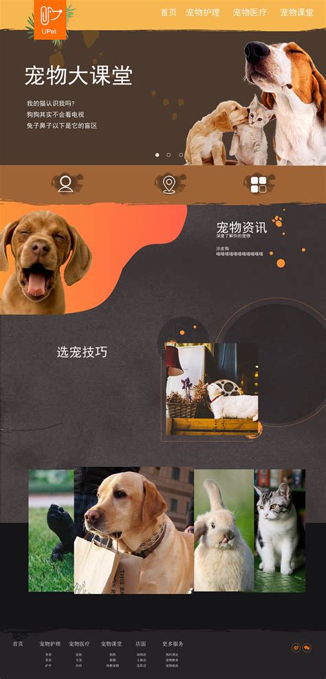 pets-114-宠物网站模板程序-福州模板建站-福州网站开发公司-马蓝科技