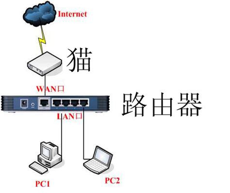 局域网的网络组成结构