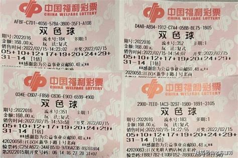 【兑奖直击】浙江客商复式投注喜中双色球32万元|湖北福彩官方网站