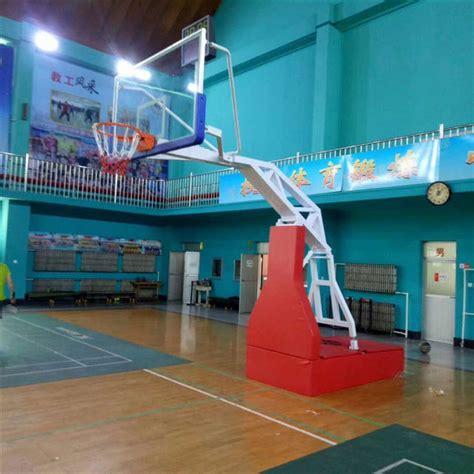 青少年室内户外篮球架投篮框儿童篮球架可升降幼儿园可移动篮球架-阿里巴巴