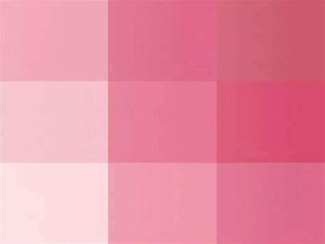 淡粉色搭配什么颜色最好看 淡粉色的最佳搭配颜色_配图网