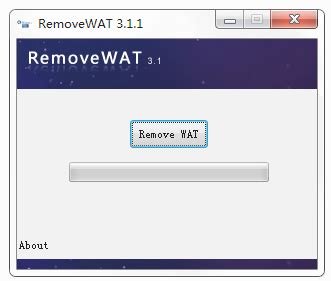RemoveWAT(Win10 1903激活工具) V4.0正式版--系统之家