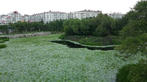 上海世纪公园风光高清图片下载-正版图片500869044-摄图网