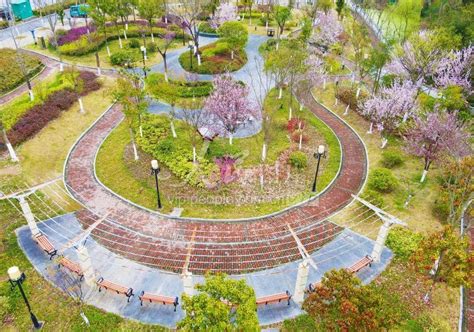 北京：北海公园琼华岛春色满园花盛开