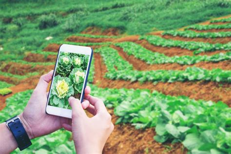 农产品交易平台app-农产品交易平台有哪些?农产品交易app排行榜-安粉丝网