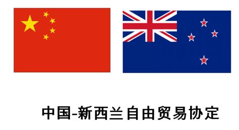 中国与新西兰签署自贸协定升级议定书 其中环境与贸易章节超出RCEP - 俄罗斯卫星通讯社