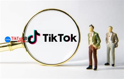 tiktok私域怎么挂号和引流？一招教你玩转TikTok私域引流 - TikTok培训