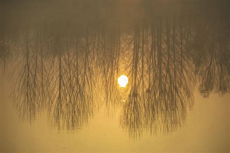 形容日出和晨雾的诗句（那些藏在诗词里的日出，惊艳绝美！）_微说说