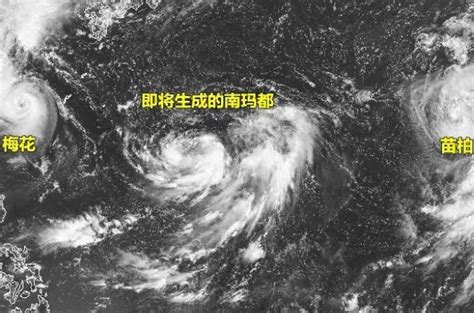 台风是怎么命名字的 2019台风命名表_旅泊网
