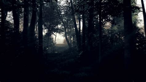 幽灵般的黑暗森林在夜晚的月光视频素材_ID:VCG42N1134257719-VCG.COM