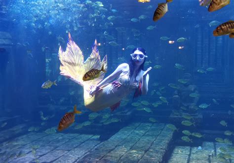 i 潜水 | 来自深海美人鱼的传说｜嗨潜潜水美人鱼课程全介绍2021|美人鱼|课程|技巧_新浪新闻