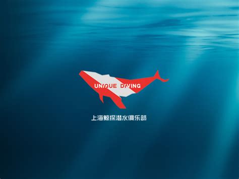 大白鲨工业_蓝巨鲸品牌推广（苏州）有限公司_品牌策划_品牌设计_品牌增长营销_网站开发_小程序开发_Saas软件