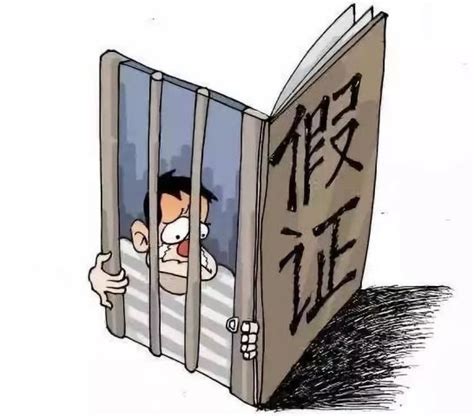 上海侦破60余起假证假牌案，女主播为吸引打赏办假证“减龄”