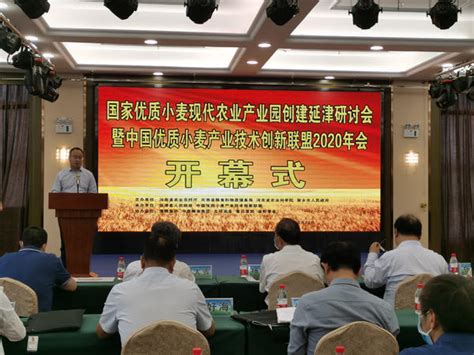中国第一麦”要搞大事情！ 延津县创建全国唯一优质小麦现代农业产业园-大河报网