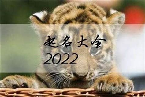 宝宝起名2022年属虎,20年属虎取名字,新潮的婴儿小名(第14页)_大山谷图库