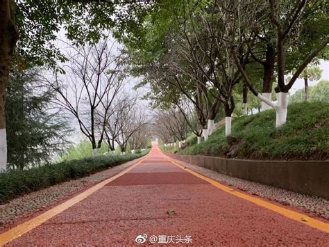 在重庆骑自行车是怎样一种体验？“飙车”指南曝光！就等你出发~