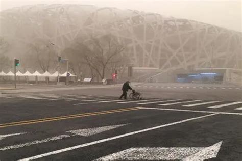 北京下雪啦！现场实拍图来了，一次看过瘾-千龙网·中国首都网
