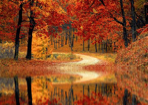 秋天丰收背景图片素材-正版创意图片401104412-摄图网