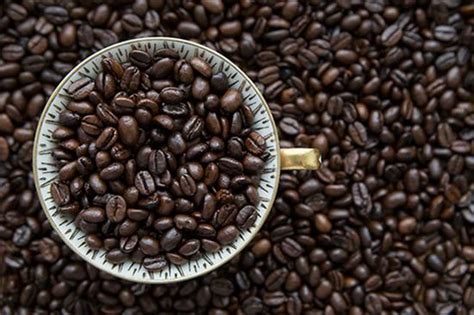 具有纯净、清爽的特质的埃塞俄比亚日晒耶加雪菲沃卡咖啡风味口感 中国咖啡网 04月18日更新